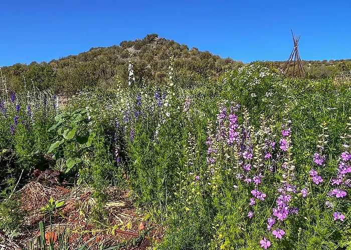 Serene Near Wineries, Oak Creek & Sedona Apartment Cornville