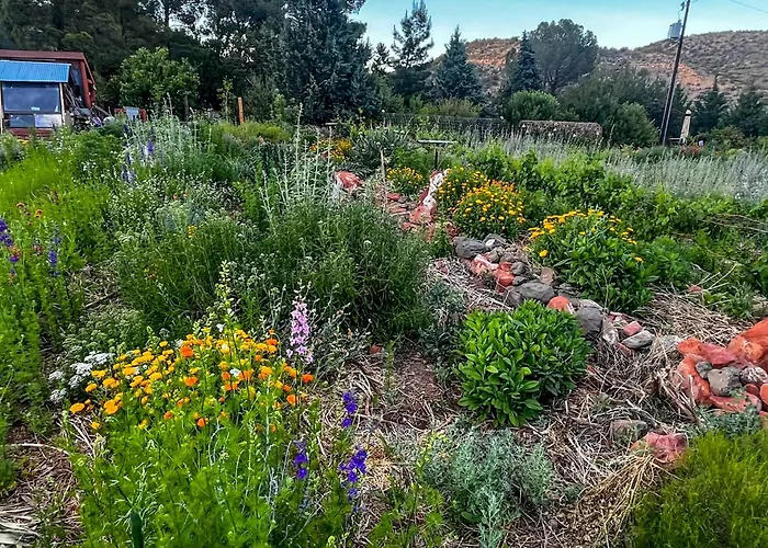 Serene Near Wineries, Oak Creek & Sedona Apartment